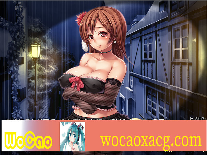 [ADV/汉化/有动画] 时间旅行动画NTR 廻る娼館街のリィナ 云翻汉化版[百度][1.4G]』