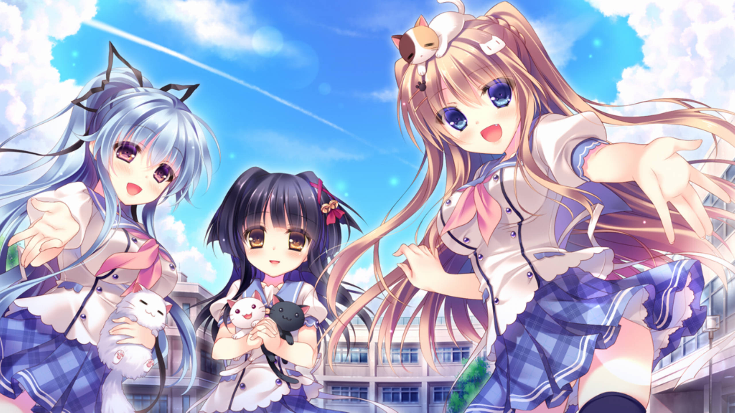 猫咖啡拉花 (7).jpg