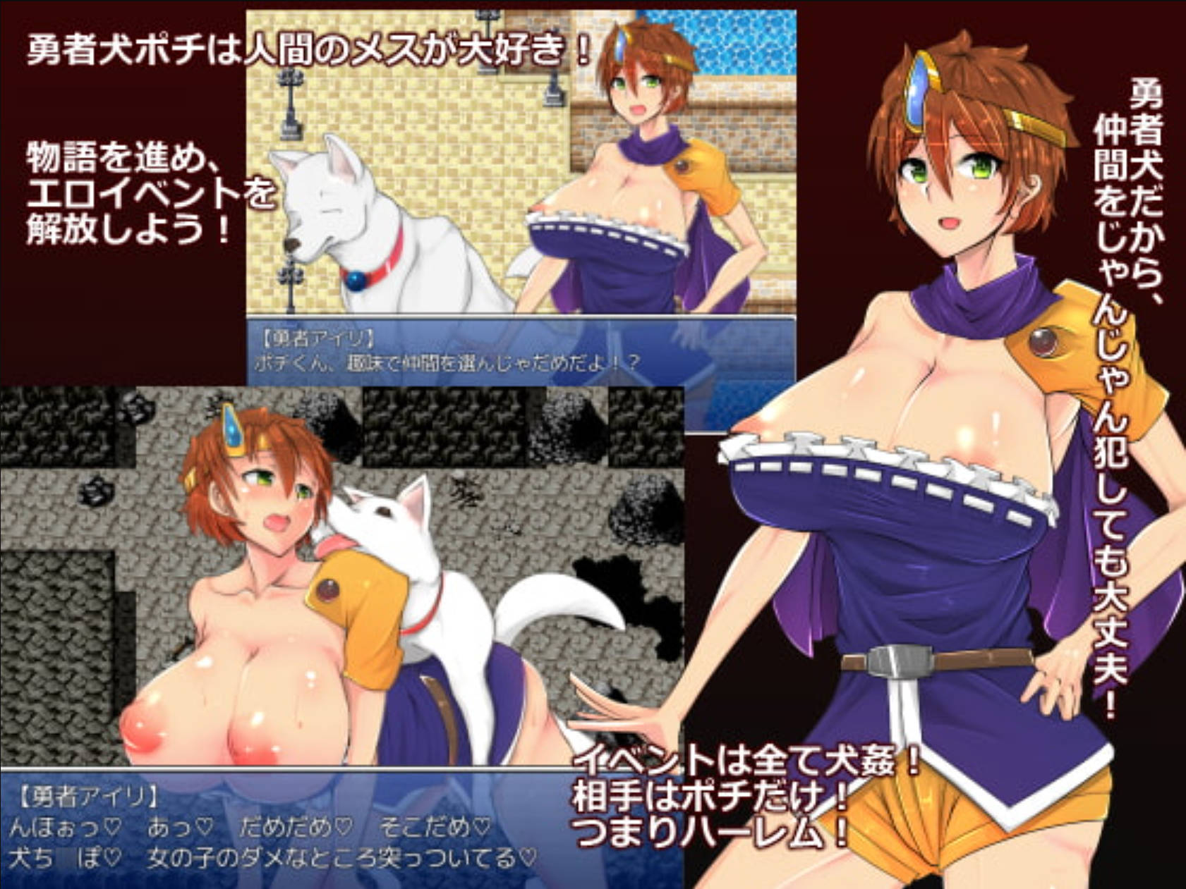 狗的交配任务 (3).jpg