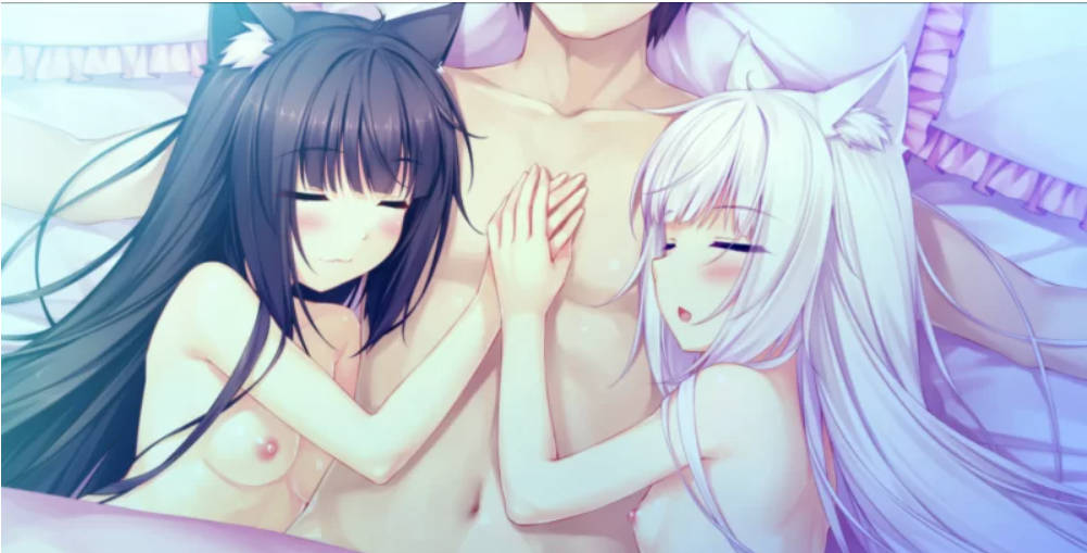 Nekopara猫娘乐园合集 (4).jpg