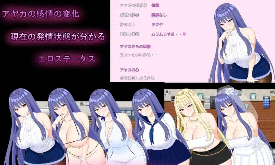 完美女友 ～被他人染指的拍摄实录 (5).jpg